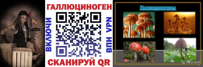 где можно купить наркотик  Покачи  Псилоцибиновые грибы Magic Shrooms 